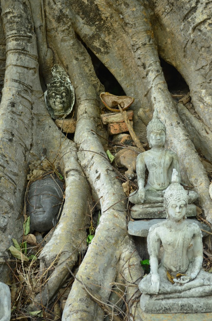 Oder nur um den berühmten, eingewachsenen Buddha-Köpfen von Angkor und Ayuthaya etwas entgegensetzen zu können?